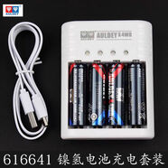 奧迪雙鉆四驅車(chē)鎳氫電池充電器套組4節電池充電器1700毫安616641 鎳氫電池充電器套組