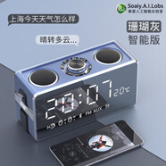 索愛(ài)無(wú)線(xiàn)藍牙音箱超重低音炮家用大音量手機音響智能3d環(huán)繞收音機鬧鐘收款小型鋼炮迷你車(chē)載可攜式戶(hù)外 珊瑚灰【AI智能版】 標配