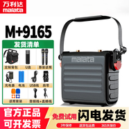 萬(wàn)利達（Malata）戶(hù)外便攜式樂(lè )器手提小型廣場(chǎng)舞音響大功率音量K歌帶聲卡直播可背藍牙音箱充電帶無(wú)線(xiàn)話(huà)筒 M+9165+雙充電話(huà)筒【5.5寸直播版】