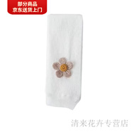 泰載安全褲女童女童夏季薄網(wǎng)眼寶寶嬰兒九分白色防走光安全褲女童打底 白色（網(wǎng)眼太陽(yáng)花） 70 S碼70-80cm