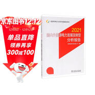 能源與電力分析年度報告系列 2021 國內外能源電力發(fā)展及轉型分析報告