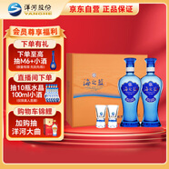 洋河 藍色經(jīng)典 海之藍42度 480ml*2瓶 禮盒裝  濃香型白酒 