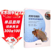 虎斑烏賊的生物學(xué)及養殖技術(shù)