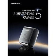 博銳（POREE）飛科小方盒剃須刀往復式五刀頭電動(dòng)便攜款迷你胡須刀生日禮物 S15-grey(月巖灰)