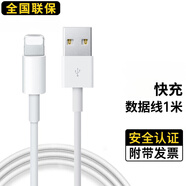 Viken適用于蘋(píng)果iPad充電器套裝線(xiàn)快充頭數據線(xiàn)air2/Pro/mini5/4/3/7/6 適用蘋(píng)果標準數據線(xiàn)-1米