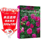 大衛·奧斯汀 迷人的英國玫瑰