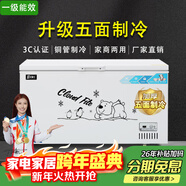 北極川冰柜商用智能溫控臥式大容量冷柜家用冷藏冷凍展示柜冰箱保鮮柜雪糕柜 五面制冷|長(cháng)1.45米單門(mén)|升級內膽智能銅管白單溫