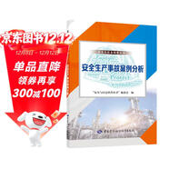 安全生產(chǎn)事故案例分析 --安全與應急科普叢書(shū) 安全生產(chǎn)月推薦用書(shū)
