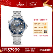 歐米茄（OMEGA）瑞士手表 海馬系列300機械表210.30.42.20.06.001 禮物