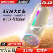雷登（OHAYO）X10MAX無(wú)線(xiàn)便攜式藍牙音箱2025新款重低音炮大音量高音質(zhì)戶(hù)外迷你小型自行車(chē)騎行小音響防水音箱 2分頻【傳奇音質(zhì)】35W賽道揚聲器-灰 防塵防水+超長(cháng)續航+32G卡