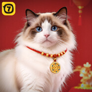 柒哦貓咪項圈長(cháng)命鎖新年裝飾編織貓圍脖項鏈寵物脖子配飾脖圈鈴鐺飾品 【精品禮盒】五福羅盤(pán) 貓狗通用（17-32cm）可調節項圈