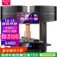 山水（SANSUI） FK-101家庭ktv音響 K歌套裝 卡拉ok 大功率功放 家用卡包音箱 家庭影院 點(diǎn)歌機唱K設備12吋 黑FK101五喇叭+功放+U段麥+3T