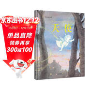 漂流瓶繪本館-來(lái)自梵高故鄉的圖畫(huà)書(shū)  天使