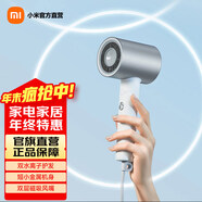 米家小米電吹風(fēng)機H500 水離子護發(fā)速干電吹風(fēng)家用便攜吹風(fēng)筒 磁吸風(fēng)嘴大風(fēng)量智能溫控吹發(fā)器節日禮物 雙水離子款 H500