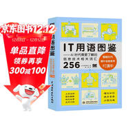 IT用語(yǔ)圖鑒it用語(yǔ)AI時(shí)代需要了解的信息技術(shù)相關(guān)詞匯256  chatgpt聊天機器人人工智能時(shí)代it計算機科普圖書(shū) 一本書(shū)了解AI時(shí)代常用的IT術(shù)語(yǔ)（雙色版） deepseek教程