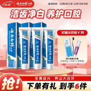 云南白藥經(jīng)典系列牙膏套裝 護齦祛漬潔齒 亮白清新口氣冬青香型165g*3