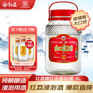 紅荔 米香型白酒 40度 浸泡酒5L 紅米酒泡酒純糧釀造廣東米酒青梅酒