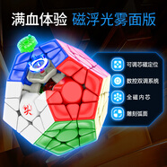 大雁孤鴻Pro M磁力魔方磁懸浮3階專(zhuān)業(yè)比賽順滑兒童玩具 大雁五魔PRO+ M【磁懸浮版】