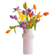 京東鮮花跨晚同款-郁金香鮮花20枝多巴胺混色（三種顏色混搭）源頭直發(fā)