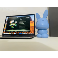 山頭林村卡通兔電腦迷你音響手機筆記本平板電腦通用插線(xiàn)多媒體音響 深海藍萌兔USB音響