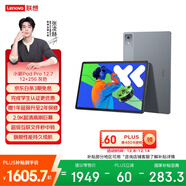 聯(lián)想小新PadPro12.7 2025款平板電腦  2.9K高刷全面屏 娛樂(lè )學(xué)習 10200mAh 12+256G大象灰