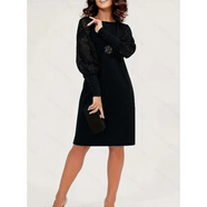 春秋連衣裙2025歐美圓領(lǐng)蕾絲長(cháng)袖拼接修身連衣裙 黑色 S