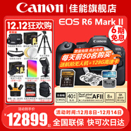 佳能（Canon） EOS R6 Mark II/r6三代全畫(huà)幅微單相機r6 2二代專(zhuān)業(yè)微單 Vlog數碼相機 R6二代拆單機身【不含鏡頭】 套餐五【專(zhuān)業(yè)閃光燈~(yú)256G極速卡~~無(wú)線(xiàn)麥克風(fēng)】