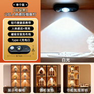 芃彩人工智能感應燈頭開(kāi)關(guān)控制燈led氛圍燈創(chuàng  )意家用聲控感應usb小夜燈 黑色外殼人體感應燈【白光】