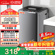 YANGZI揚子集團波輪洗衣機全自動(dòng)家用小型洗烘一體脫水甩干機大容量 出租屋宿舍公寓辦公室節能 8.5KG【藍光洗護+智能風(fēng)干+防纏繞】