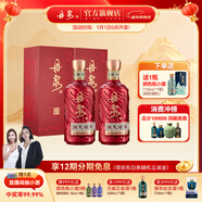 丹泉洞天酒海初心 醬香型名酒洞藏純糧食禮盒大曲坤沙送禮物年貨節 53度 500mL 2瓶