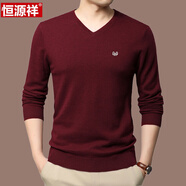 純羊毛男士V領(lǐng)長(cháng)袖T恤薄款針織衫春秋季中年毛衣打底衫 HYX--薄V領(lǐng) 酒紅 M 165(建議100-120斤)