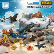 樂(lè )蓓富全套兒童仿真海洋動(dòng)物模型玩具大白鯊魚(yú)鯨魚(yú)海底世界生物新年禮物
