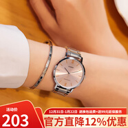 卡西歐（CASIO） 手表女 時(shí)尚簡(jiǎn)約LTP系列 大表盤(pán)指針手表 女士商務(wù) 超薄石英腕表 LTP-VT01D-4B