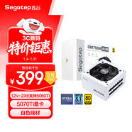 鑫谷（segotep）GM750W ATX3.1金牌全模組冰山版電源（12V-2X6支持5060Ti/5070Ti顯卡/白色線(xiàn)材/臺式電腦主機箱）