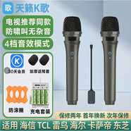 天籟K歌天籟k歌MM-8無(wú)線(xiàn)麥克風(fēng)家用電視k歌話(huà)筒適用海信東芝tcl東芝雷鳥(niǎo)vidda卡薩帝海爾問(wèn)界阿維塔車(chē)載 MM-5DMAX+雙話(huà)筒自帶混響