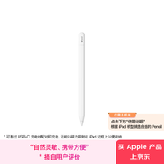 Apple/蘋(píng)果 Pencil(USB-C) 磁吸觸控筆手寫(xiě)筆蘋(píng)果筆電容筆ipad筆 適用iPad 11/mini/Pro/Air