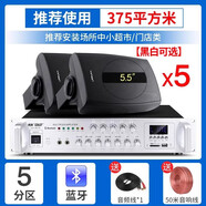 先科（SAST） 壁掛藍牙功放重低音音響套裝大功率影音箱組合家用店鋪室內超市餐廳掛壁式奶茶店背景音樂(lè ) 350W功放+5.5寸重低音壁掛*5(送麥克風(fēng)）
