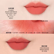 YSL圣羅蘭YSL革新小金條口紅全新色號1936啞光唇膏化妝品送女友配件 【全新小金條】23#裸感珊瑚