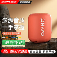 雷登（OHAYO）xb10音響藍牙音箱重低音炮大功率戶(hù)外迷你便攜式小音響環(huán)繞戶(hù)外大音量無(wú)線(xiàn)防水低音炮 紅色【硅膠外殼+彩燈】京倉8倉 升級版【持久續航】【快至次日達】