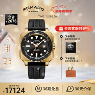 雷米格深潛者300全自動(dòng)機械表瑞士表腕表潛水表專(zhuān)業(yè)男表  青銅殼