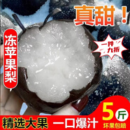 胖東來(lái)同款東北凍梨超低價(jià)特產(chǎn)無(wú)渣凍秋梨包郵蘋(píng)果梨水果多汁大黑 帶箱6斤大果【保溫箱發(fā)貨】酸甜爆汁