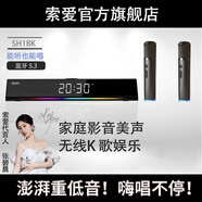 索愛(ài)（soaiy）電腦音響SH18藍牙K歌音箱家用桌面低音炮雙麥多媒體臺式機筆記本USB迷你小鋼炮 雙麥版白