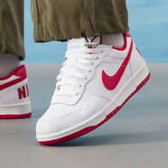 耐克（NIKE）BIG NIKE LOW 2026春男鞋經(jīng)典時(shí)尚男士運動(dòng)板鞋耐磨防滑休閑鞋 355152-150 42.5