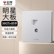 公牛（BULL）墻壁插座G12系列二位電腦帶電視插座86型面板G12T223奶油風(fēng)太空銀