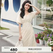 伊芙麗（eifini）伊芙麗法式優(yōu)雅網(wǎng)紗繡收腰仙女碎花連衣裙2023夏裝泡泡袖公主裙 淺綠 155/80A/S