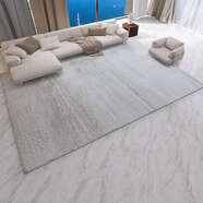 語(yǔ)森憶地毯客廳茶幾地墊臥室房間滿(mǎn)鋪衣帽間家用臟可 淺灰色升級版輕煙AL01推薦款高密度 2.4X3.4米加厚1.3厘米立體絨毛