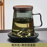 天喜（TIANXI）玻璃茶杯茶水分離泡茶杯個(gè)人專(zhuān)用帶把喝水杯子 約55℃保溫杯墊黑16W+[耐高溫]觀(guān)山杯.青灰480ml 401mL(含)-500mL(含)