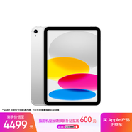 Apple/蘋(píng)果iPad 11英寸 A16芯片2025年款 平板電腦 (256GB eSIM版/學(xué)習辦公娛樂(lè ))銀色