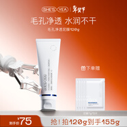 奢思雅（SHESYEA）亞麻籽清潔泥膜毛孔深層清潔油皮補水涂抹式面膜 120g