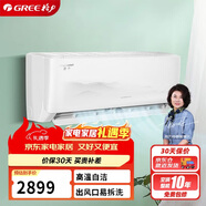 格力（GREE）1匹 京爽 新一級能效 變頻冷暖 高溫自清潔 純銅管壁掛式空調掛機 KFR-26GW/(26587)FNhAe-B1